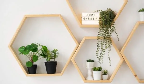 nicho hexagonal