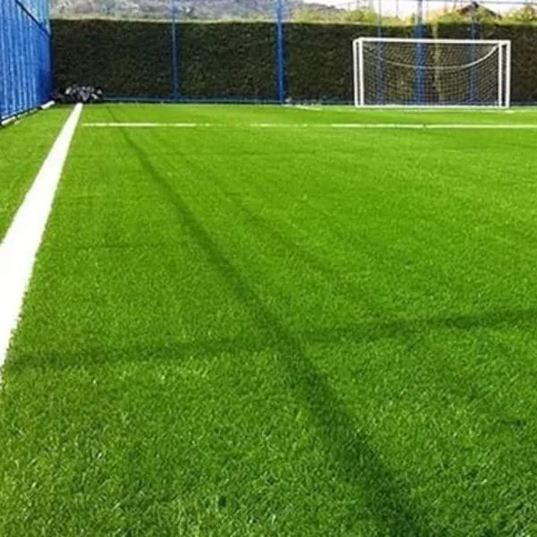 62.000 Sementes De Grama Bermuda Campo De Futebol 20m²